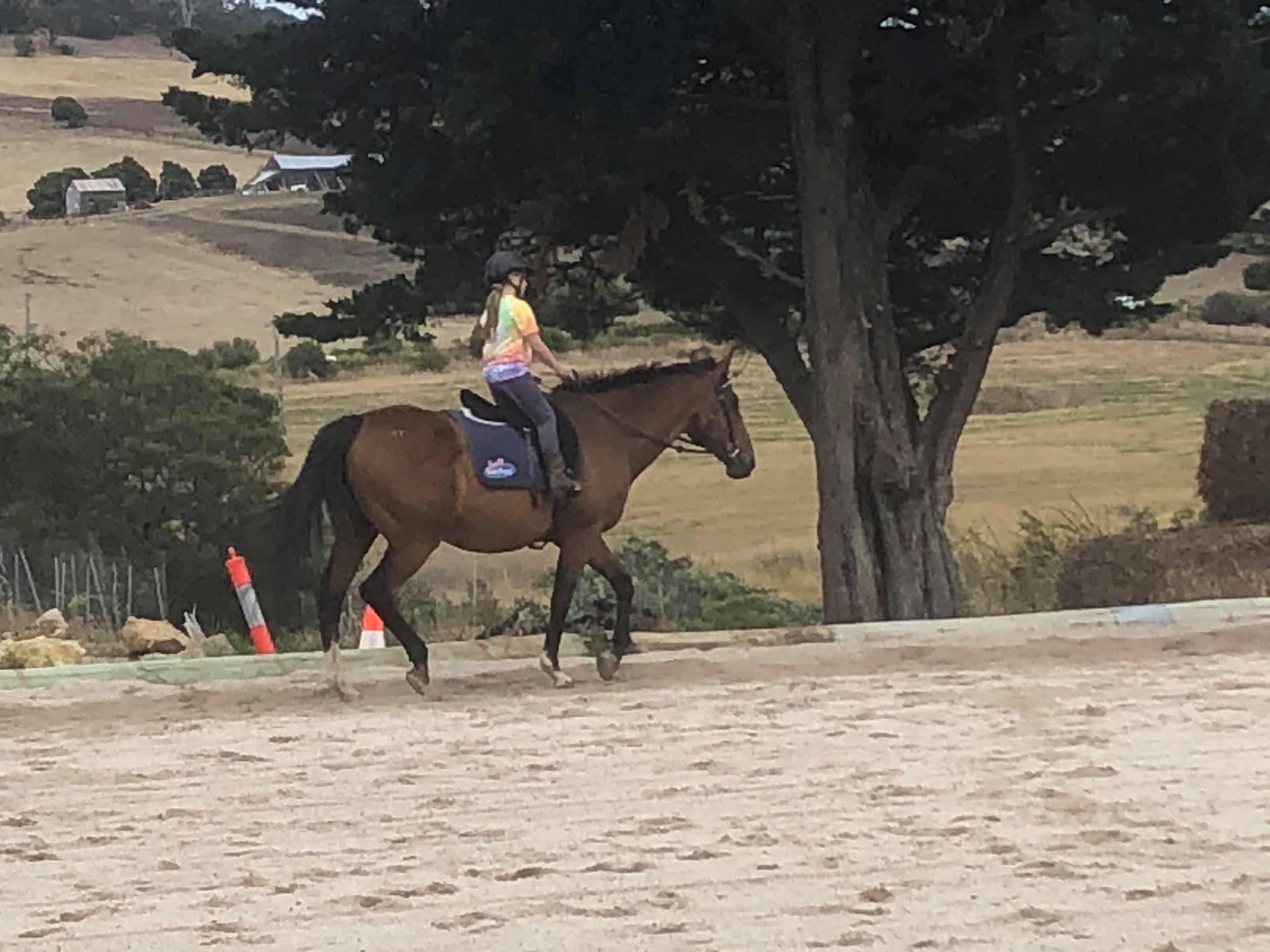 Trail Riding