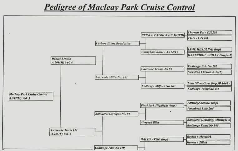 Macleay Park Cruise Control